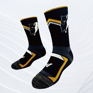 【台灣熊厚系列】銀纖維極致速乾美麗諾羊毛登山襪 -單雙| M/L/XL