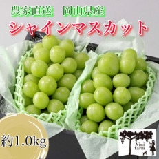 味のこだわり　岡山県農家直送　高品質シャインマスカット2房詰約1.0kg