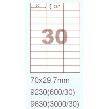 【文具通】阿波羅9630影印自黏標籤貼紙30格70x29.7mm 100入 P1410317【APP滿額下單4%點數(單一帳號最高1500點)】5/31止