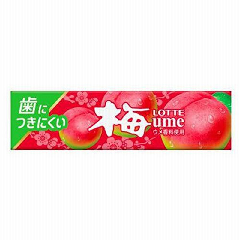 福袋 ロッテ フリーゾーンガム ミント 9枚×15個 ロッテ ブラックブラックガム 9枚×15個