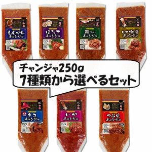 7種類から選べるチャンジャ250g ×2個セット