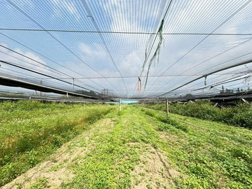 新社平坦方正農地有水有電臨路好進出｜台中市新社區中正段
