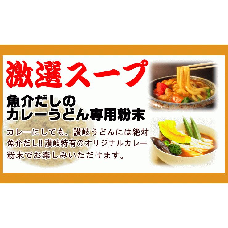 送料無料 うどん 激選スープカレーうどん20人前セット