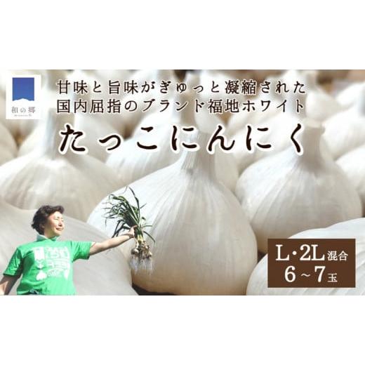 ふるさと納税 青森県 田子町 日本一たっこにんにく・6〜7玉（青森県田子町産にんにくL〜2L）