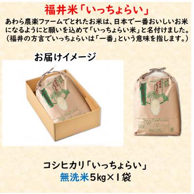 ふるさと納税 あわら市 「いっちょらい」 福井県産 コシヒカリ 無洗米 5kg