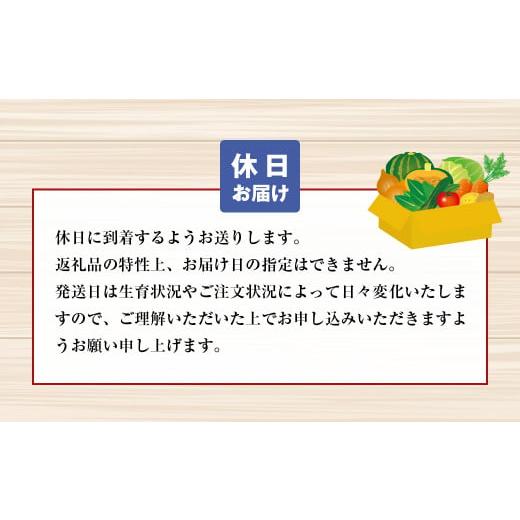 ふるさと納税 兵庫県 淡路市 淡路島の新鮮野菜セット