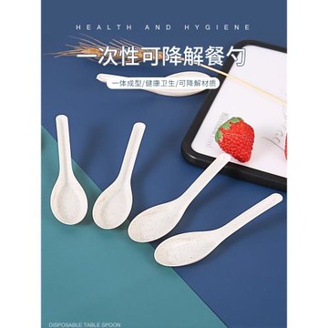 一次性勺子塑料快餐外賣專用小湯勺商用透明食品級可降解103調羹