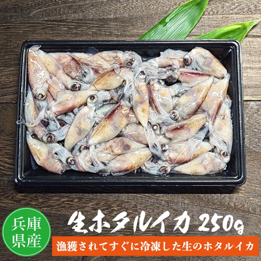 冷凍生ホタルイカ（刺身用）250g×1パック