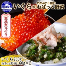 いくら醤油漬け 250g ねばっと野菜 160g×2個 計3個セット