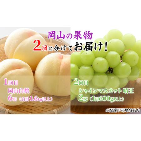 ふるさと納税 フルーツ 2024年 先行予約 岡山 白桃 6玉 シャイン マスカット 晴王 2房 を2回に分けてお届け！ 定期便 桃 ぶどう 梨 岡山県産 国.. 岡山県岡山市