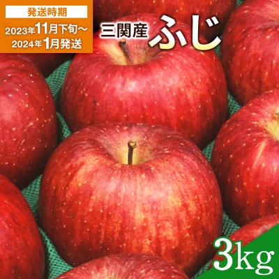 ふるさと納税 湯沢市 三関産りんご(ふじ)　3kg[K2601]