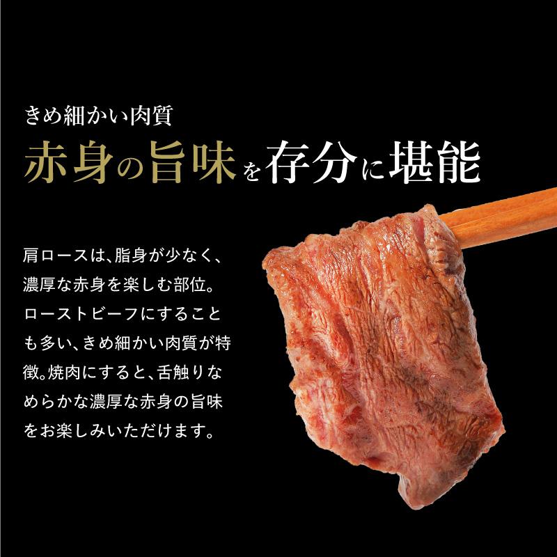 メガ盛り 焼肉セット 肉 訳あり 送料無料 福袋 牛タン ホルモン カルビ ハラミ ロース 焼肉 bbq お取り寄せ グルメ ギフト 食品 メガ盛り 3.4kg