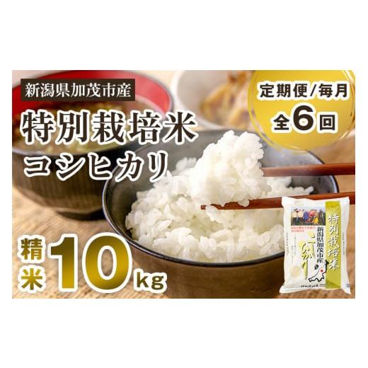 ふるさと納税 新潟県 加茂市 新潟県加茂市産 特別栽培米コシヒカリ 精米10kg（5kg×2）白米 従来品種コシヒカリ 加茂有機米生産組合