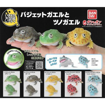 全套5款【日本正版】生物大圖鑑 圓眼珍珠蛙與角蛙 扭蛋 轉蛋 圓眼珍珠蛙 小丑蛙 角蛙 BANDAI 萬代 - 739217