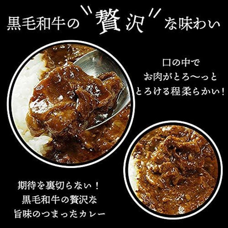 ザ・ビーフ黒毛和牛すじカレー240g・3食入