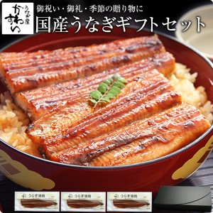 ギフト セット 国産 うなぎ 蒲焼き 特大170g×3本 送料無料 化粧箱 ギフトセット 鰻 ウナギ 御礼 御祝 お見舞い 贈答 結婚 出産 お見舞