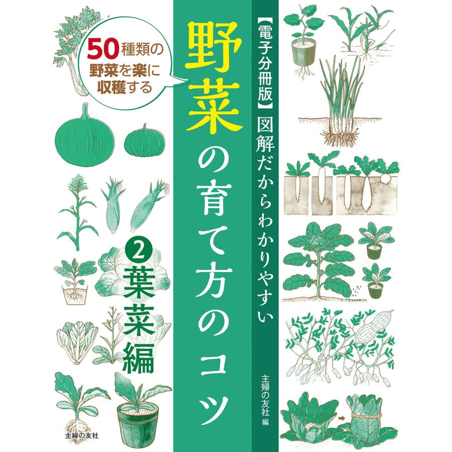 図解だからわかりやすい 野菜の育て方のコツ(2)葉菜編 電子書籍版   新井 敏夫