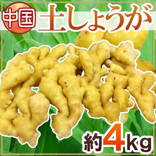 ”土しょうが” 約4kg 肉厚！！土生姜 老生姜 ひね生姜 古根ショウガ 中国産