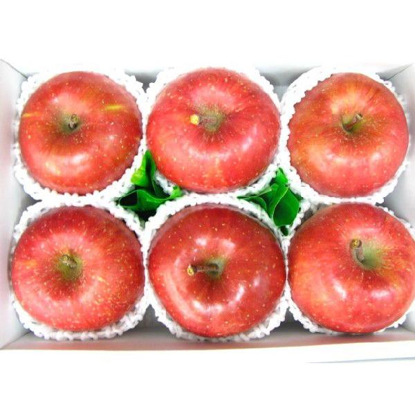 サンふじりんご フジ林檎6個入り 送料無料（北海道、沖縄県は送料1000円追加させていただきます。）あすつく