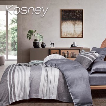 KOSNEY  斯維加  特大100%天絲TENCEL四件式兩用被床包組