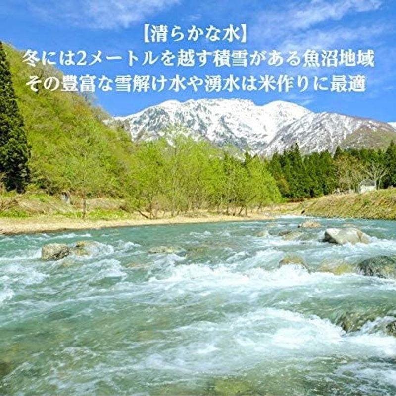 新米 精米 新潟県 魚沼産 コシヒカリ 令和4年産 白米 米 コメ （5?×1袋）