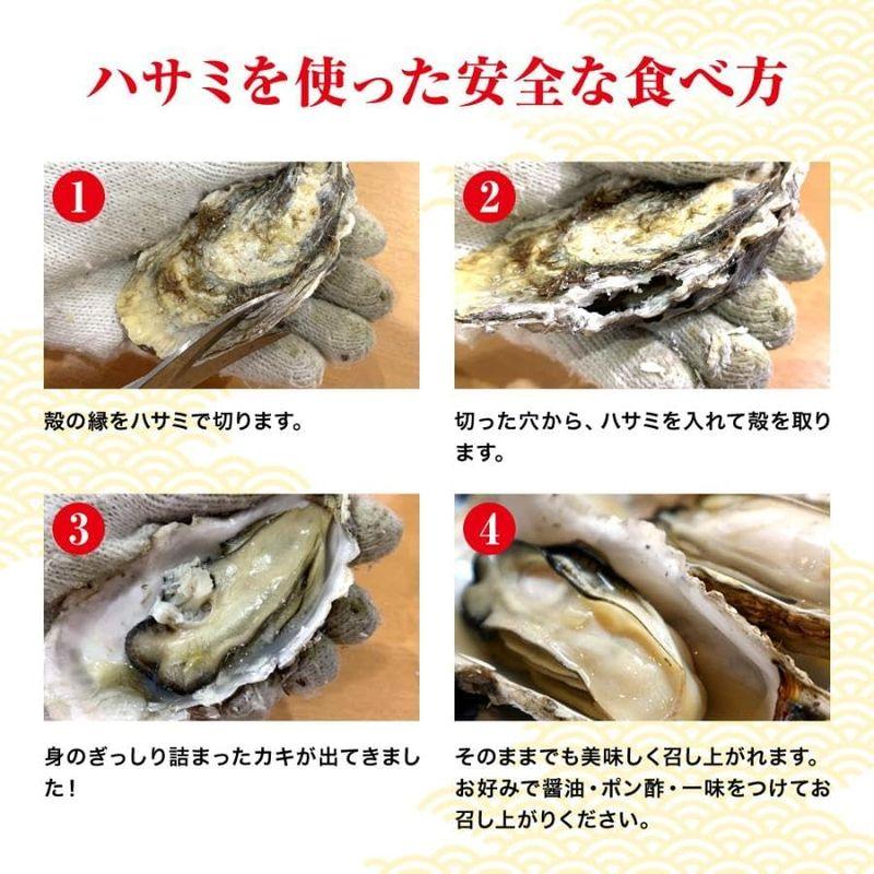 鮮度の鬼 兵庫県 室津産 カキ カンカン焼き 1.5? 約30?45個入 かき BBQ バーベキュー 牡蠣