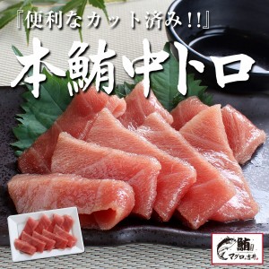 お歳暮 ギフト 本マグロ 中トロ 100g カット済み なので安心！ プレゼント 海鮮 ギフト まぐろ 鮪 マグロ 刺身 海鮮丼 手巻き寿司 御祝