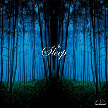 古典樂選集 伴你入眠 | 2023日本錄音大師精選療愈心靈音樂CD碟片