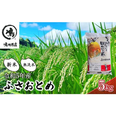 ふるさと納税 新米 令和5年 ふさおとめ　無洗米　5kg 千葉県千葉市