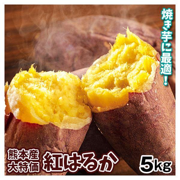 さつまいも 5kg 紅はるか大特価 熊本産 ご家庭用 送料無料 食品