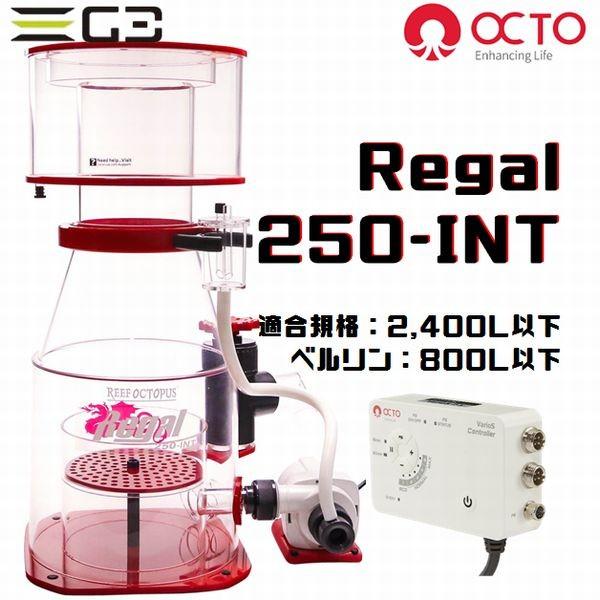 OCTO Regal 250-INT DCプロテインスキマー