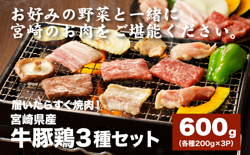 宮崎県産焼肉３種セット（牛・豚・鶏） 計６００ｇ  カット済み  K16_0079_1