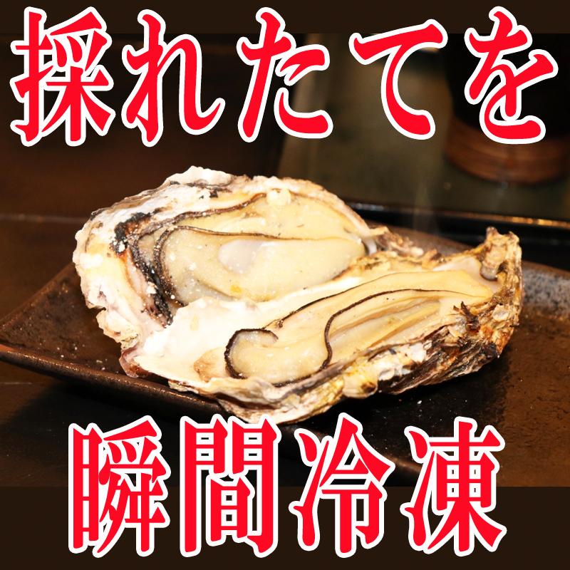 牡蠣 瞬間冷凍 レンジでチン 国産 宮城県産 600g 10〜14個入り (300g×2パック) 冷凍 お取り寄せ 送料無料 殻付き [加熱用生牡蠣2袋 宮城県産] ship-sd