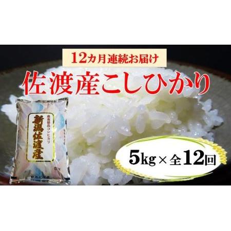 ふるさと納税 佐渡産高千産こしひかり 5kg 新潟県佐渡市