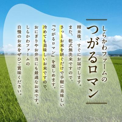 ふるさと納税 五所川原市 無洗米 10kg 青森県産 つがるロマン  定期便10回 10kg×10回