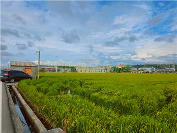 專任便宜龍井都計內農地｜台中市龍井區中華路一段