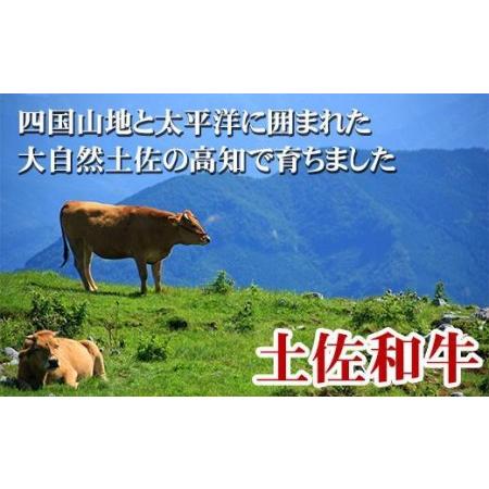 ふるさと納税 土佐和牛上カルビ焼肉500g BBQ 牛肉 バーベキュー 高知県産 高知県高知市