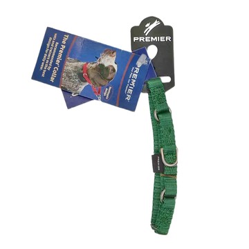 PetSafe 普立爾專業犬頸圈 尼龍材質 適用於11kg以下小型犬  綠色  XS  1個