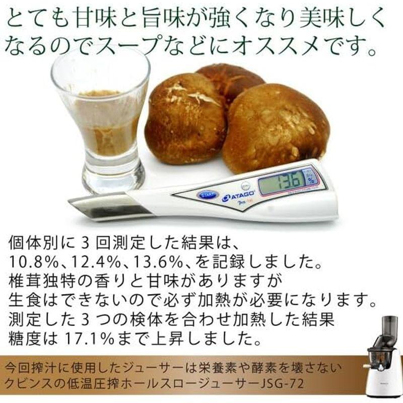 原木生シイタケ 100g 国産 無農薬・無化学肥料 椎茸