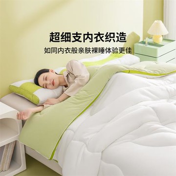 每晚深睡A類大草本加厚抗菌冬被芯被子200*230cm加大保暖220*240