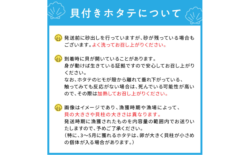 オホーツク貝付きほたて 5kg(30枚～50枚)( 海鮮 魚介 魚介類 貝 貝類 ホタテ ほたて 帆立 殻付き 貝柱 贈答 ギフト 贈り物 お中元 お祝い BBQ バーベキュー