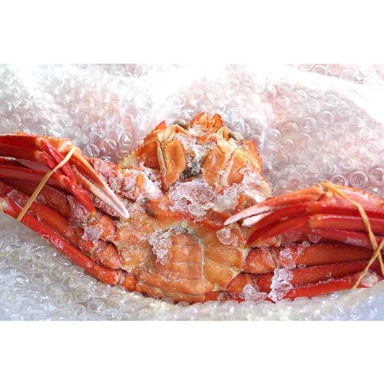 濃厚な旨味！日本海鮮魚センターの「ゆで紅ズワイガニ」 2尾（約1.4kg） 蟹 かに ずわいがに ギフトにも！ のし無料 送料無料