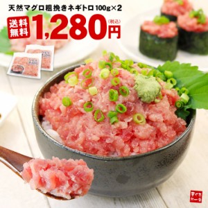 ネギトロ200g(100g×2) 複数購入でオマケ付 天然マグロ 粗挽き 冷凍 送料無料《ref-nd1》〈nd1〉[[ネギトロ100g-2p]