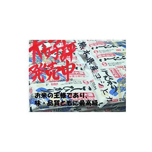 新米 米 お米 ５ｋｇ 熊本県産 くまモン こしひかり 白米 令和５年産