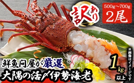 ＜訳あり＞朝獲れ発送！鮮魚問屋が厳選した氷締め伊勢海老(2尾・総量1kg以上)