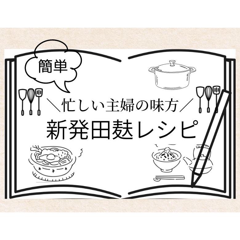 まとめ買いでお得＼新発田麩10袋セット／ お味噌汁 鍋 簡単 便利 たんぱく質 新潟 離乳食 介護食