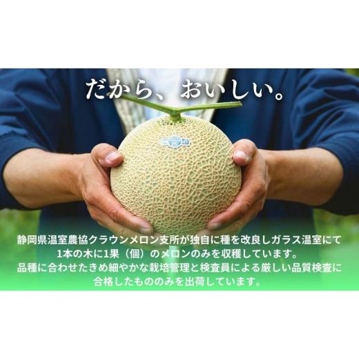 ふるさと納税 静岡県 袋井市 数量 期間 限定 メロン 静岡 クラウンメロン 白上級 1玉 高級黒色化粧箱入り ギフト マスクメロン 果物 フルーツ 贈答 高級 デザ…