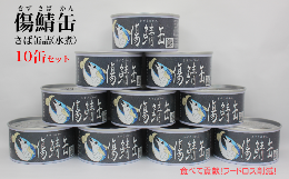 ＼TVで紹介されました／≪訳あり≫ 鯖 缶詰 水煮 10缶 セット 