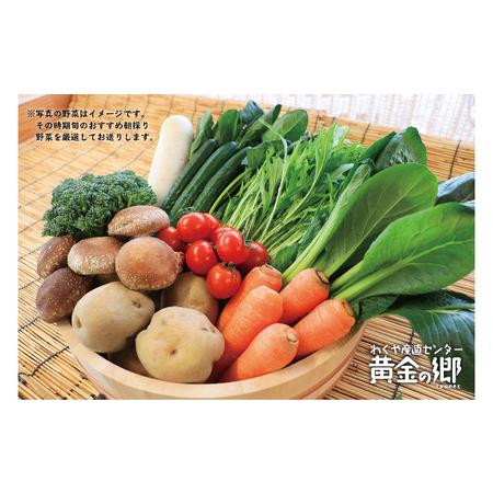 ふるさと納税 黄金の郷　季節のお野菜お楽しみBセット 宮城県涌谷町