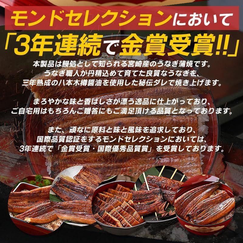 うなぎ 鰻 蒲焼き 国産 鰻の蒲焼 うなぎ蒲焼 宮崎県産 大サイズ 165g前後×2尾 山椒付き鰻蒲焼のタレ×2袋 宮崎 お中元 ギフト 人